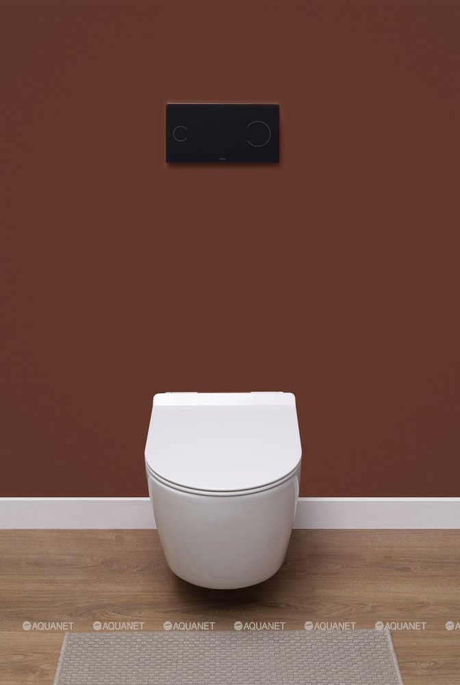 Унитаз подвесной Aquanet Rimless Cetus-BW BL-102N-WHT Унитаз подвесной Aquanet Rimless Cetus-BW BL-102N-WHT