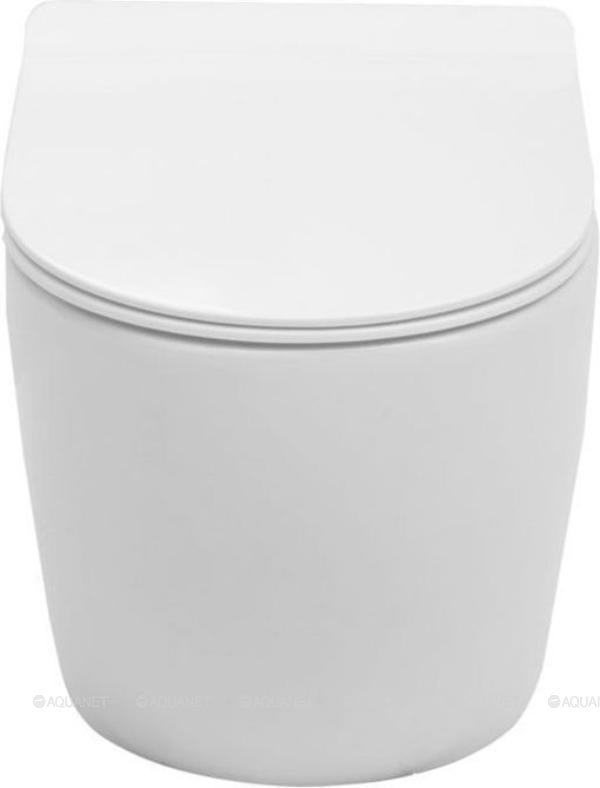 Унитаз подвесной Aquanet Rimless Cetus-BW BL-102N-WHT Унитаз подвесной Aquanet Rimless Cetus-BW BL-102N-WHT