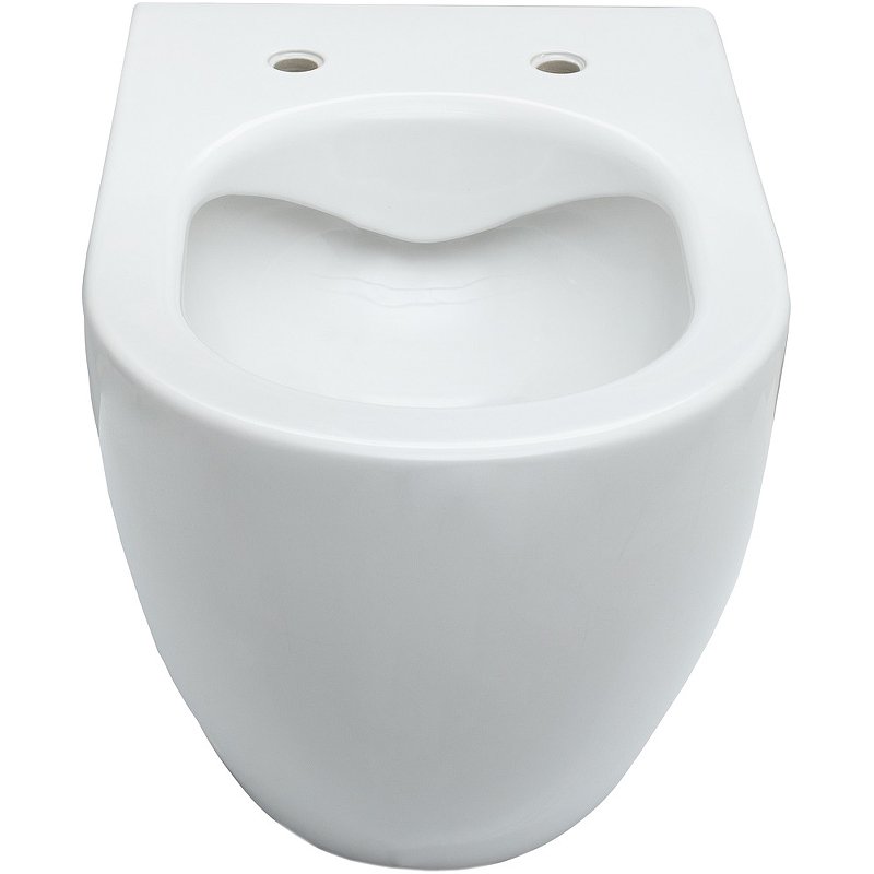 Подвесной унитаз Allen Brau Reality 4.32006.20 Подвесной унитаз Allen Brau Reality 4.32006.20