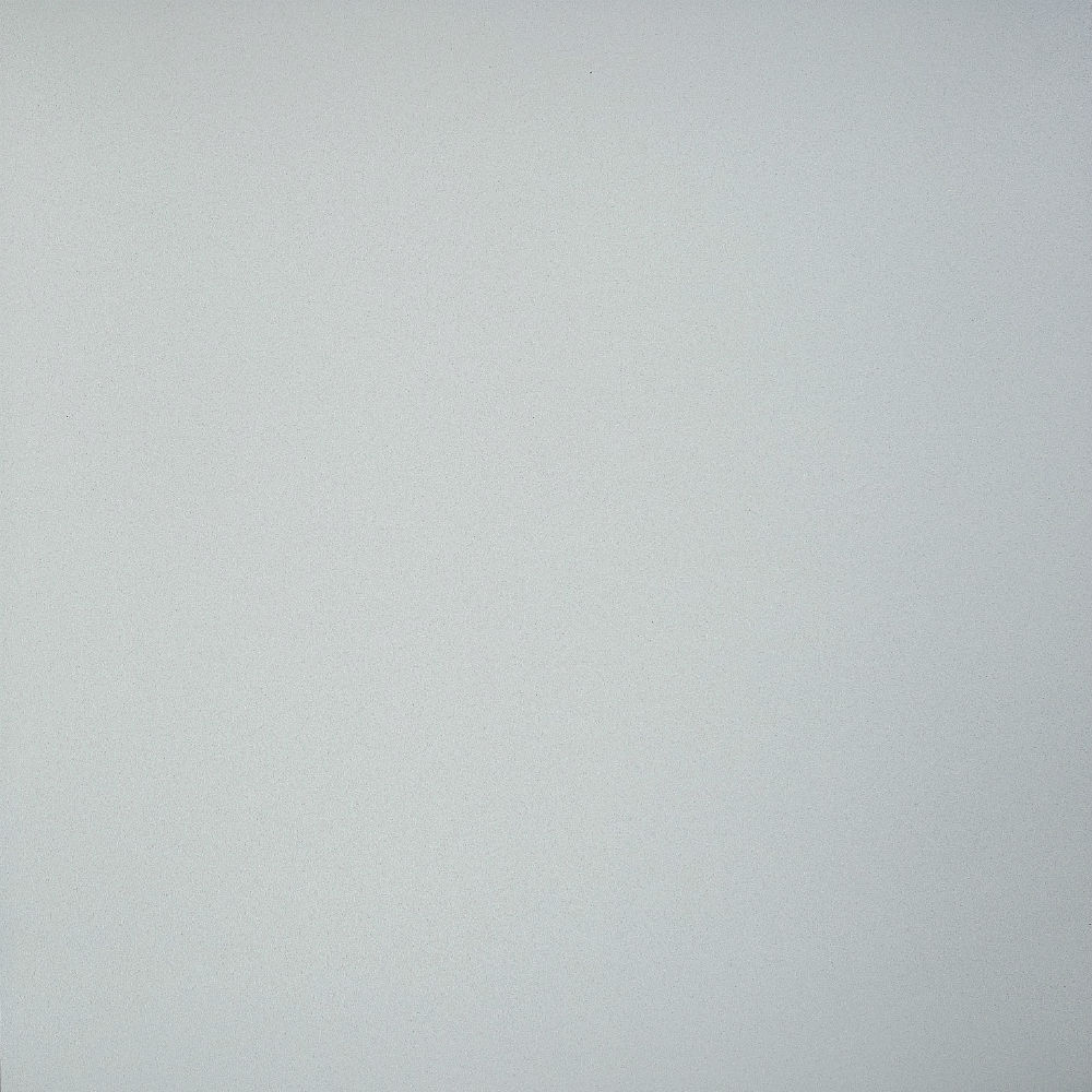 GT009М 600х600 матовый GT009М 600х600 матовый