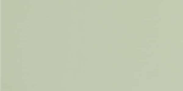 GT079М 600х1200 матовый GT079М 600х1200 матовый