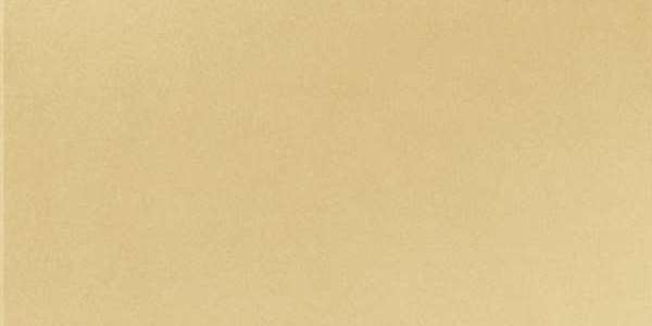 GT065М 600х1200 матовый GT065М 600х1200 матовый