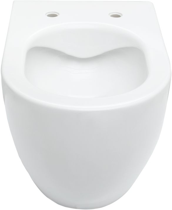 Подвесной унитаз Allen Brau Reality 4.32006.20 Подвесной унитаз Allen Brau Reality 4.32006.20