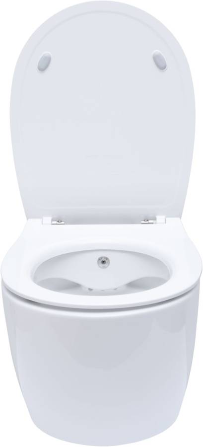 Подвесной унитаз Allen Brau Fantasy 4.11HC1.20 Подвесной унитаз Allen Brau Fantasy 4.11HC1.20