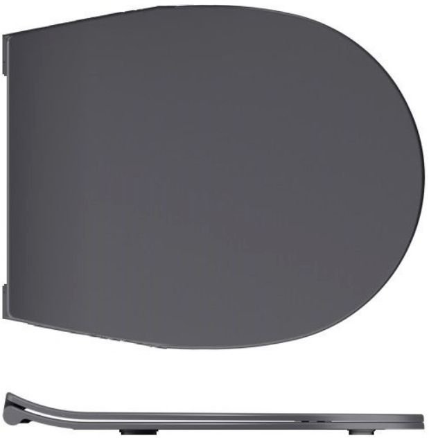 Крышка-сиденье для унитаза Allen Brau Reality 4.32007.AN антрацит Крышка-сиденье для унитаза Allen Brau Reality 4.32007.AN антрацит