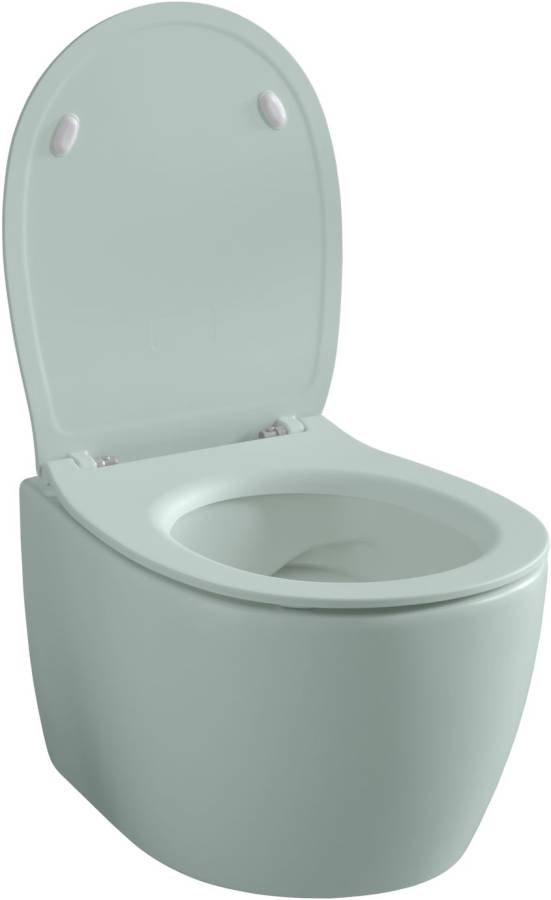 Чаша подвесного унитаза Allen Brau Fantasy 4.11004.MT мятный Чаша подвесного унитаза Allen Brau Fantasy 4.11004.MT мятный