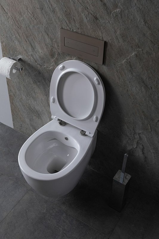 Подвесной унитаз Allen Brau Fantasy 4.11HC1.20 Подвесной унитаз Allen Brau Fantasy 4.11HC1.20