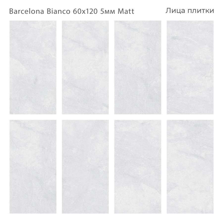Керамогранит матовый BARCELONA BIANCO 60x120 5мм MATT, Marbles Керамогранит матовый BARCELONA BIANCO 60x120 5мм MATT, Marbles