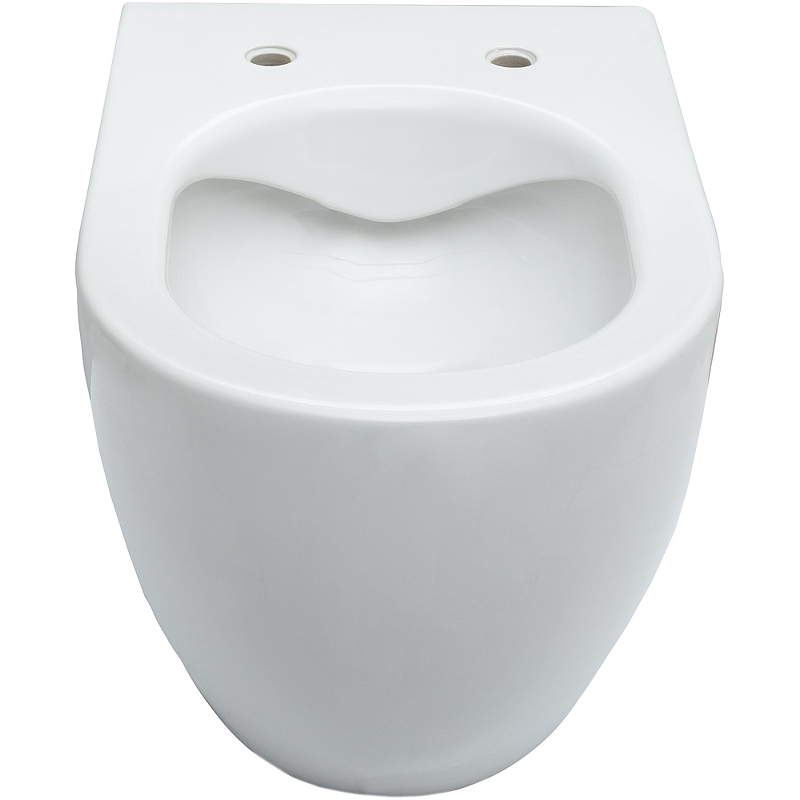 Подвесной унитаз Allen Brau Reality 4.32006.20 Подвесной унитаз Allen Brau Reality 4.32006.20