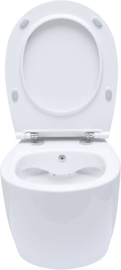 Подвесной унитаз Allen Brau Fantasy 4.11HC1.20 Подвесной унитаз Allen Brau Fantasy 4.11HC1.20