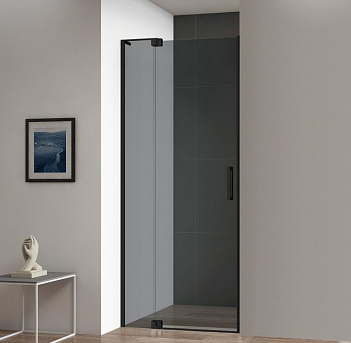 SLIDER-B-1-GL-FIX-C Стационарное стекло SLIDER-B-1, 246х1950, прозрачное