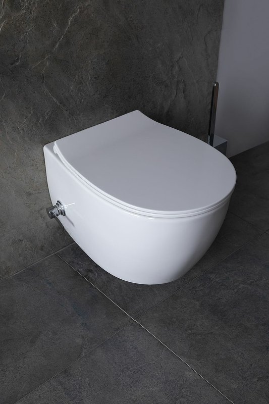 Подвесной унитаз Allen Brau Fantasy 4.11HC1.20 Подвесной унитаз Allen Brau Fantasy 4.11HC1.20