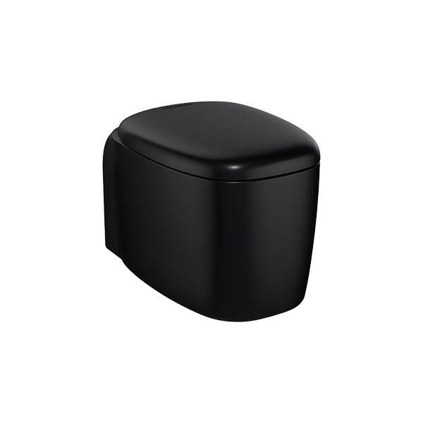 Подвесной безободковый унитаз Plural Rim-Ex, цвет Матовый Черный Подвесной безободковый унитаз Plural Rim-Ex, цвет Матовый Черный