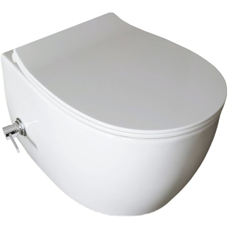 Подвесной унитаз Allen Brau Fantasy 4.11HC1.20 Подвесной унитаз Allen Brau Fantasy 4.11HC1.20