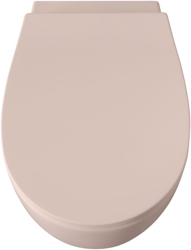 Чаша подвесного унитаза Allen Brau Fantasy 4.11004.SM розовый Чаша подвесного унитаза Allen Brau Fantasy 4.11004.SM розовый