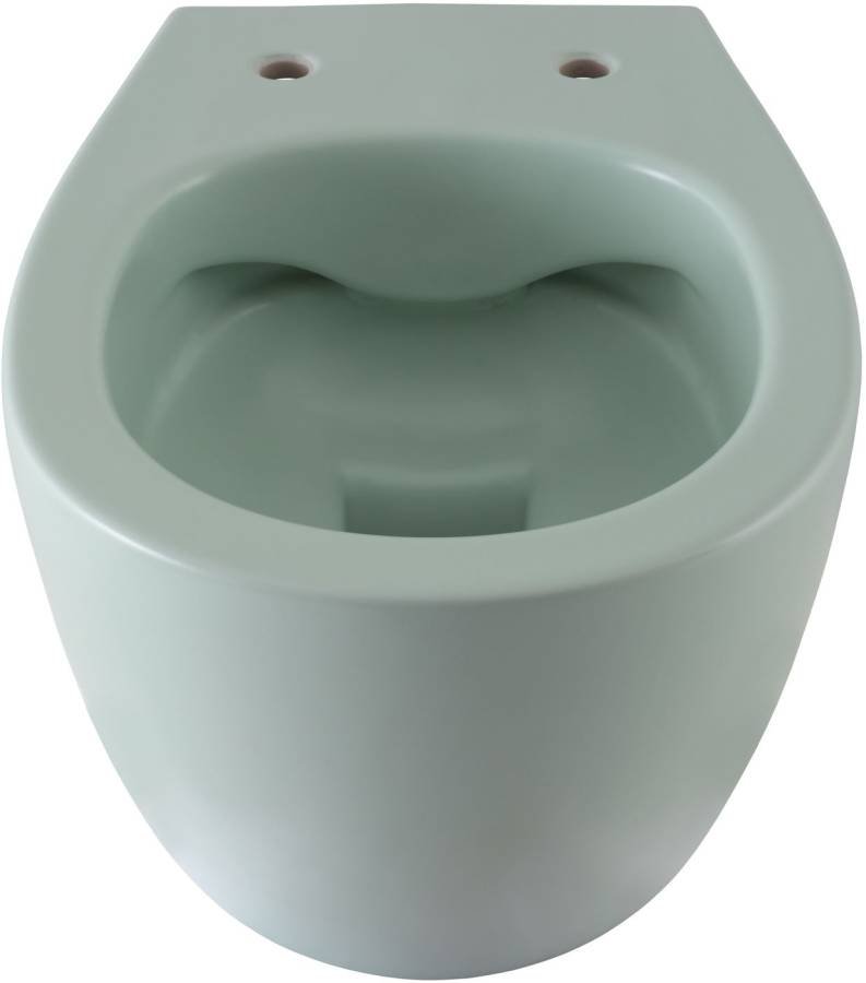 Чаша подвесного унитаза Allen Brau Fantasy 4.11004.MT мятный Чаша подвесного унитаза Allen Brau Fantasy 4.11004.MT мятный