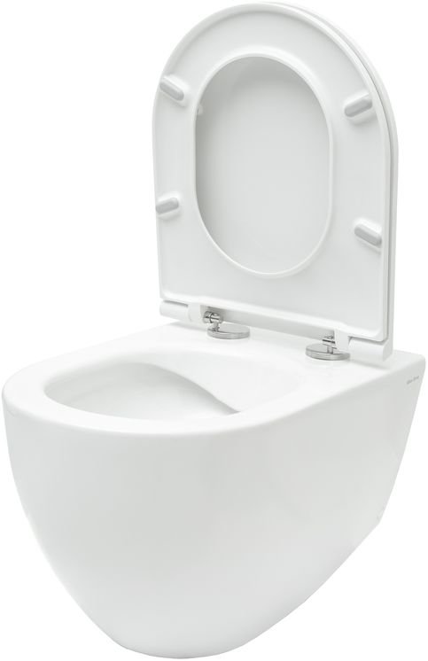 Подвесной унитаз Allen Brau Reality 4.32006.20 Подвесной унитаз Allen Brau Reality 4.32006.20