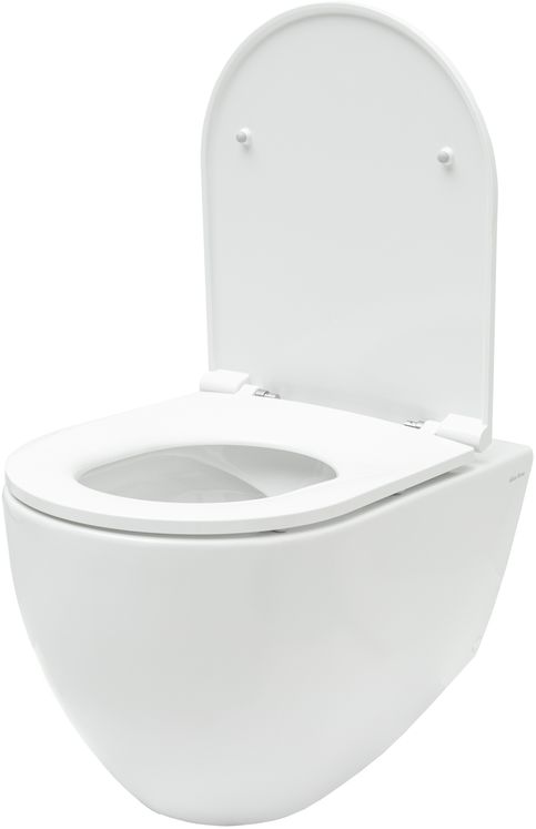 Подвесной унитаз Allen Brau Reality 4.32006.20 Подвесной унитаз Allen Brau Reality 4.32006.20