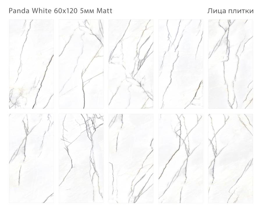 Керамогранит матовый PANDA WHITE 60х120 5мм MATT, Marbles Керамогранит матовый PANDA WHITE 60х120 5мм MATT, Marbles