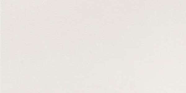 GT202М 600х1200 матовый GT202М 600х1200 матовый