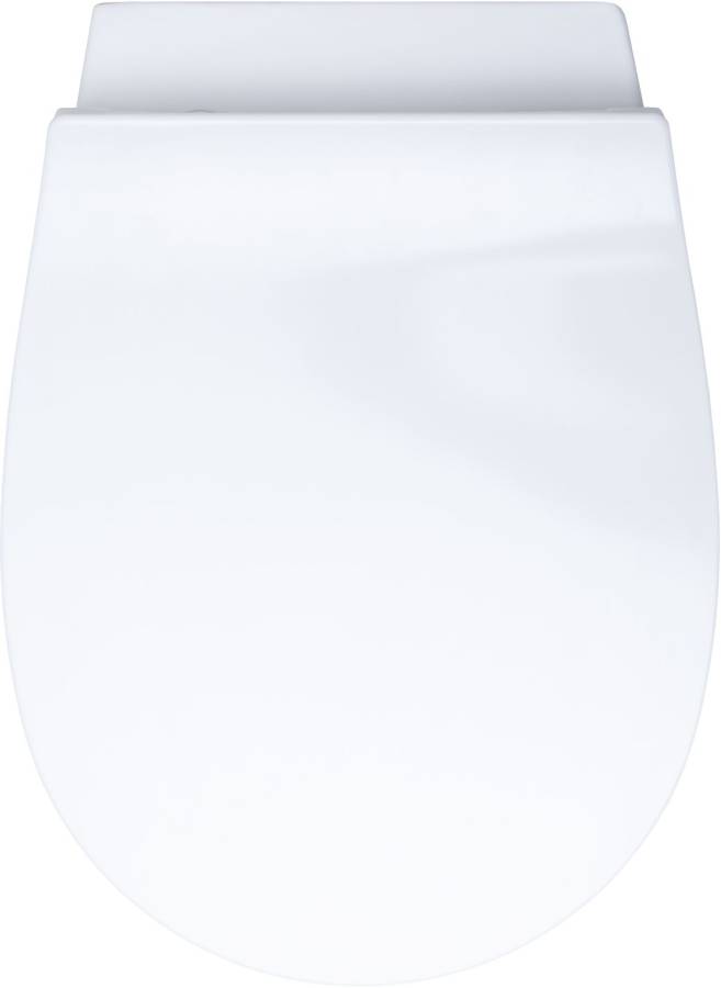 Подвесной унитаз Allen Brau Fantasy 4.11HC1.20 Подвесной унитаз Allen Brau Fantasy 4.11HC1.20