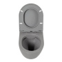 COLORATO Сиденье дюропласт, soft close, металлическое крепление, серое матовое, BB062SC-GR COLORATO Сиденье дюропласт, soft close, металлическое крепление, серое матовое, BB062SC-GR