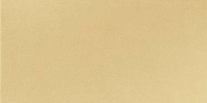 GT065М 600х1200 матовый GT065М 600х1200 матовый