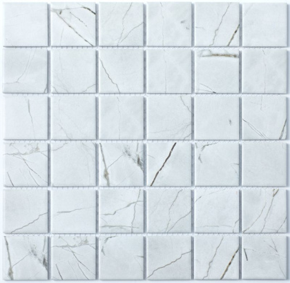 Мозаика P-509 керамика матовая (306*306) 22