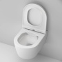 C8F1700MWSC Func подвесной унитаз 49 см FlashClean с сиденьем микролифт, бел мат C8F1700MWSC Func подвесной унитаз 49 см FlashClean с сиденьем микролифт, бел мат
