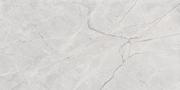 Connect Gris Керамогранит серый SG50002922R 60х119,5 полированный