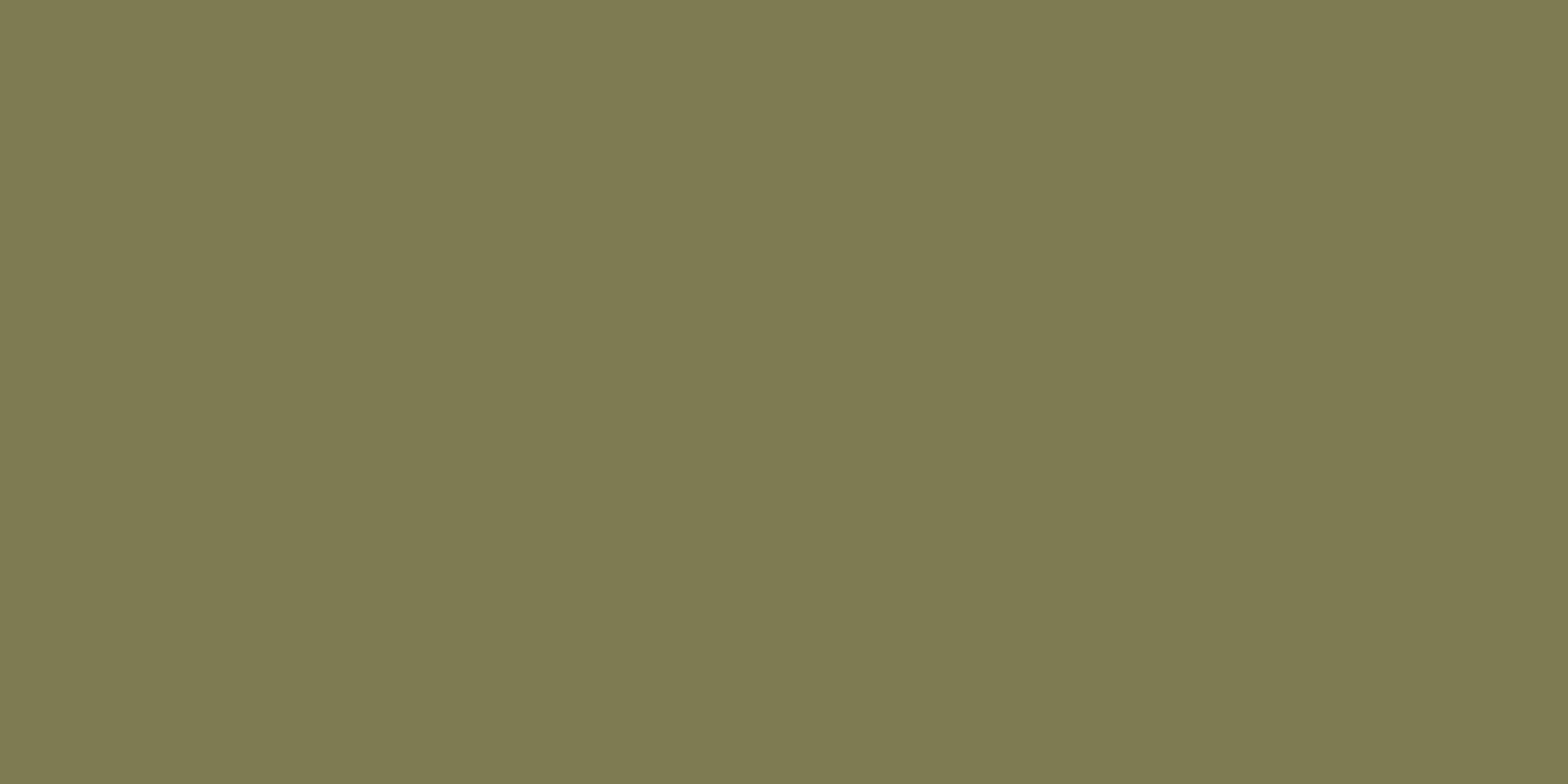 Плитка Elite Avocado 60x120 5мм Matt (4 шт.в уп)
