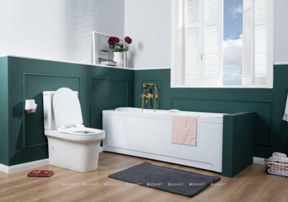 Акриловая ванна Aquanet Dali 160х70 239538 на каркасе