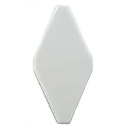 Мозаика FTR-1025A керамика глянцевая (100*200) плоская