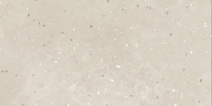 Керамогранит G-43/MR/300x600x9 GRASARO 30х60