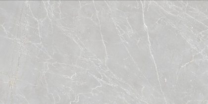 Duna - Eternal - Керамогранит - Grigio Carving 60x120