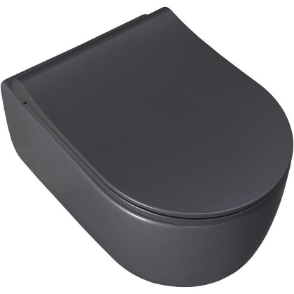 Чаша подвесного унитаза Allen Brau Priority 4.31002.AN антрацит Чаша подвесного унитаза Allen Brau Priority 4.31002.AN антрацит