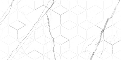 GT124VG Декор кер. Siluet GT Бел. 50*25 _ 1 \7