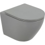 COLORATO Унитаз подвесной безободковый с креплением, серый матовый, BB062CHR-GR COLORATO Унитаз подвесной безободковый с креплением, серый матовый, BB062CHR-GR