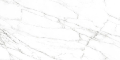 Calacatta Bianco PRO Керамогранит белый 60х120 матовый R10GR CB