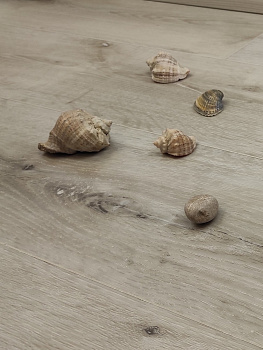 Кварц-виниловый ламинат SPC Aspenfloor Natural Touch NT3-04 Дуб Снежный 4V (5,5мм//2,245м2) (1 220мм*184мм), м2