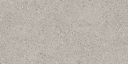 Керамогранит NP01 30,6x60,9x8 Непол.