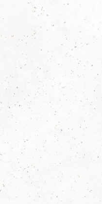 Керамогранит G-40/MR/600x1200x10 GRASARO 60х120