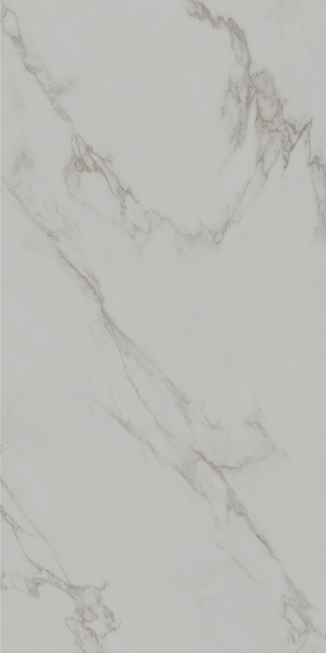 Монте Тиберио серый светлый матовый обрезной 80x160x0,9