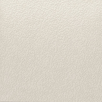 Керамогранит Nisus Neve Rect 120х120 Керамогранит Nisus Neve Rect 120х120