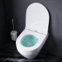 C701700WH Spirit V2.0 Унитаз подвесной FlashClean