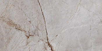 Керамогранит Laparet Silver Root полированный 60х120 (2шт_1,44м2), м2 Керамогранит Laparet Silver Root полированный 60х120 (2шт_1,44м2), м2