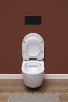 Унитаз подвесной Aquanet Rimless Cetus-BW BL-102N-WHT