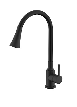 Смеситель Splenka для кухни с гибким изливом S201.4306.06