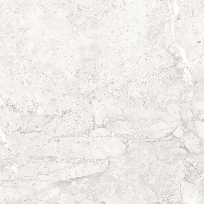 Emil White Керамогранит светло-серый 60x60 Полированный