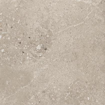 Harley Керамогранит бежевый 50х50 матовый Harley Керамогранит бежевый 50х50 матовый